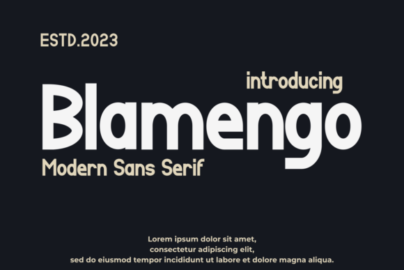 Blamengo: A Modern Sans Serif Font for Small Business Branding