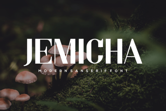 Jemicha: The Sans Serif Font That Makes Campaign Messages Instantly Clearer