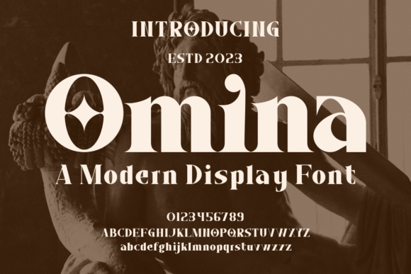 Omina Font: A Modern Serif for Small Business Branding